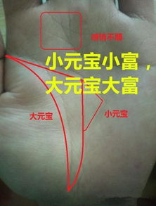 手相纹路图和对照图分别是什么？