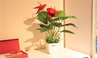 白羊座 (3月21日 - 4月19日)