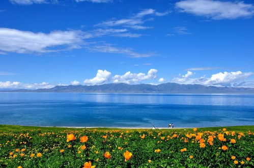 亲子游的绝佳选择：夏日艾比湖之旅
