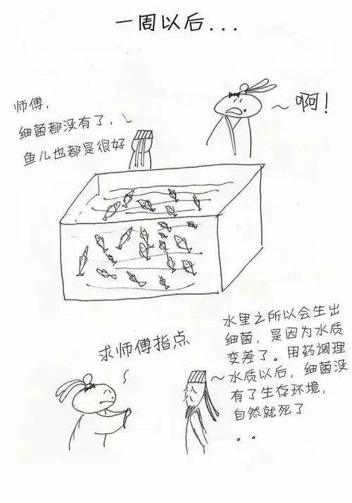探秘中医与西医：一条鱼的故事诠释本质差异