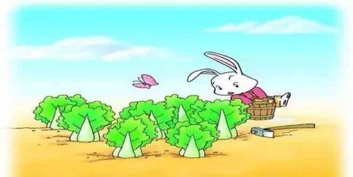 夜幕降临
