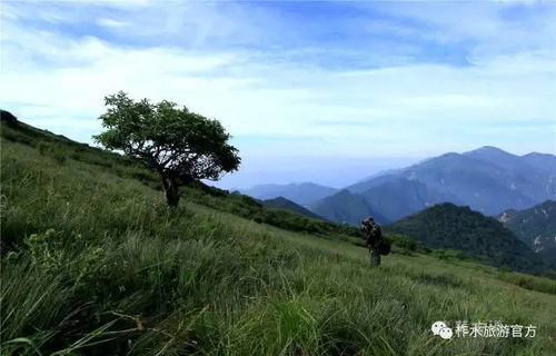 一、 序章：从渭南到柞水的心灵之旅