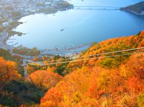 跟团游的5大深坑，看完血压飙升！