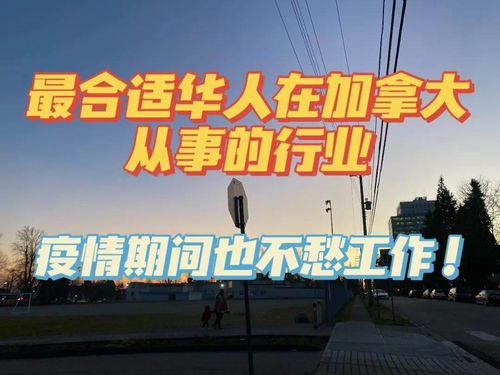巳火土命的人最适合从事哪些行业或职业？