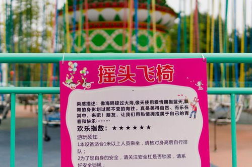 实用指南：如何最大化你的优惠体验