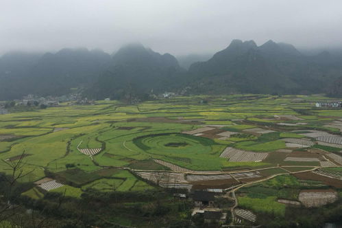 兴义美景， 尽在掌握