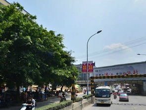 到底是在哪个县？这是一场惯与灵魂拷问的迷失