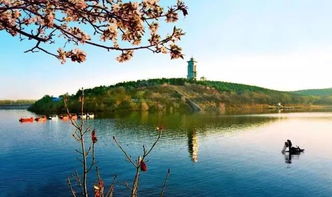 净月潭国家森林公园，吸氧吸到饱？