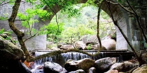 丰富的景点和活动