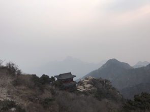 一、为哪些要去？我跟你说这可是“天然界的狂欢派对”啊！
