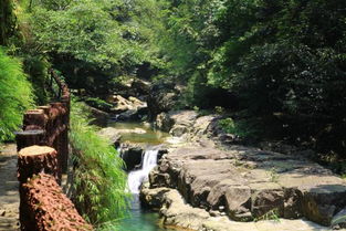 云梦大峡谷生态会所