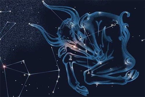 当金牛女遇上摩羯男：一场土象星座的