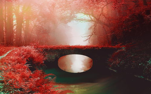 夜半惊魂：星座与阴影交错