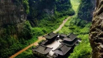 第二天：楼梯马拉松锦标赛