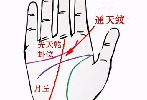 大吉小安手相图中的七星图，如何解读？
