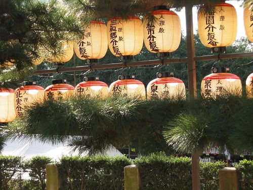 二、 深度体验和风魅力：奈良古寺的韵味