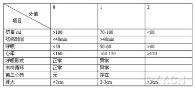 李普能名字评分系统