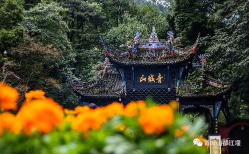 周末，来青城后山感受道教圣地的宁静之美