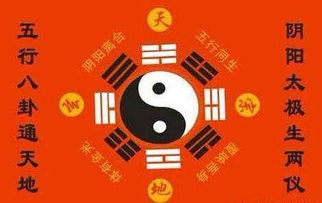 什么样的八字是纯阴的，且八字纯阴带华盖星？