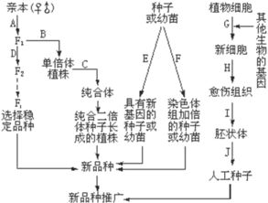 一、——名字与命运的纠缠较小宇宙