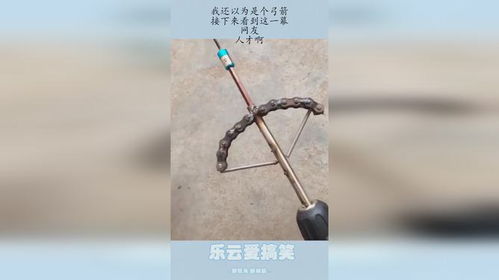 韶光似箭代表哪个生肖？韶光似箭是什么生肖的象征？