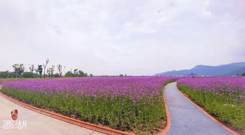 3. 周边环境保障 & 文明旅行: