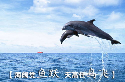 先别急着否定——有些