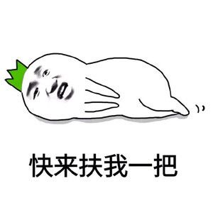 狮子座：门当户对强迫症