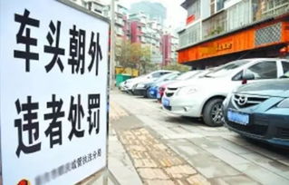 4.3 小吃合集：刀削饼、 碗托羊肉、拐枣