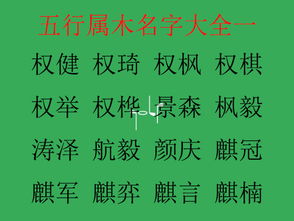 2. 带木偏旁的精华汉字推荐