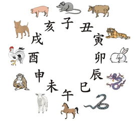 三足鼎立对应哪个生肖？哪个生肖象征日本文化？