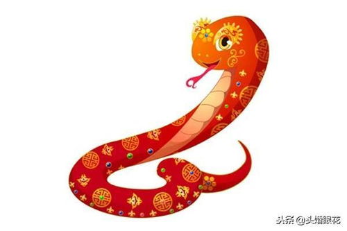 工作与学习