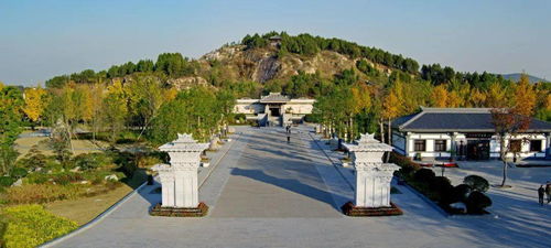 伯牙台根本不是网红打卡点！2026年桃花运圣地曝光！