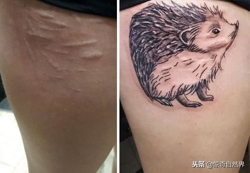 周易纹身：老祖宗的智慧糊在皮肤上