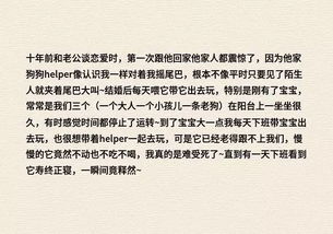 命中注定的人会出现吗？