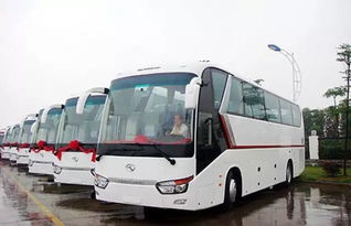 55座大巴才是yyds！