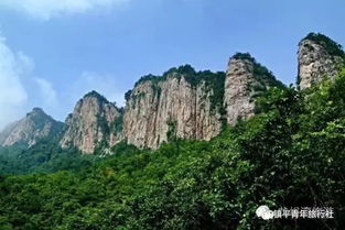 森林氧吧：呼吸崭新鲜空气