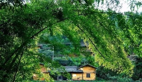 一、 十二生肖与秋游风水