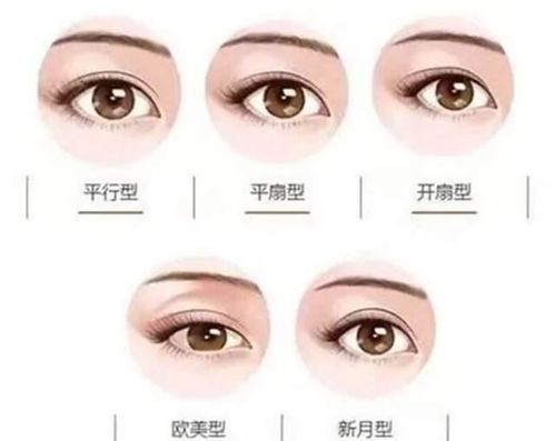 六、 案例速览——真实故事混杂幻想段落（请自行辨别真假）