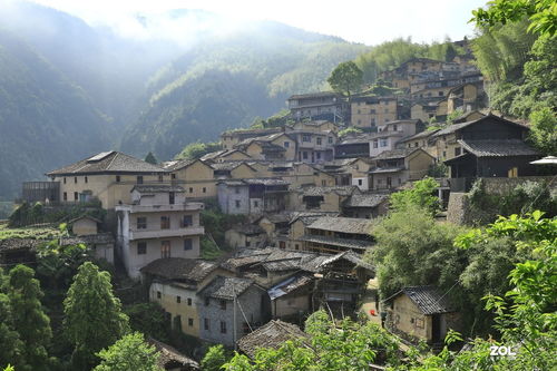 美食探险：挑战你的味蕾极限