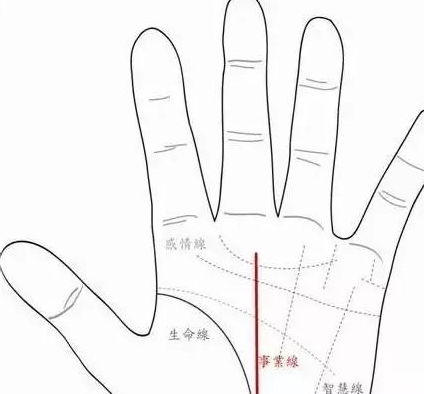 生命线长度真的能预示寿命和一生命运吗？