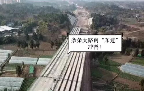 交通选择：地狱级难度