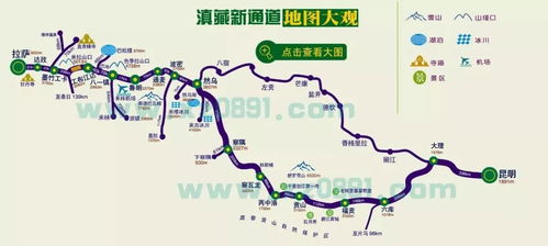 四、不同起点的对比（混乱版）