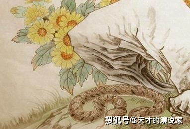 属蛇女与属兔合财婚姻，佩戴何物能招财？