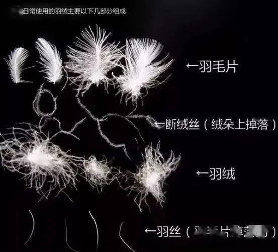产地之谜：湖北某工厂的异常现象