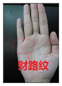 手心财运线如何解读？如何判断手相财运线预示能赚大钱？
