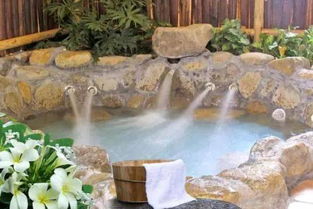 现在浙江省内有温泉的地方不少，比较推荐的是金华的武义和宁波的宁海温泉