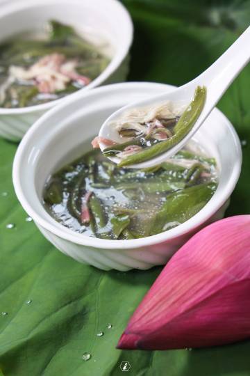 夏日荷花宴：一场关于味蕾的迷幻漂流