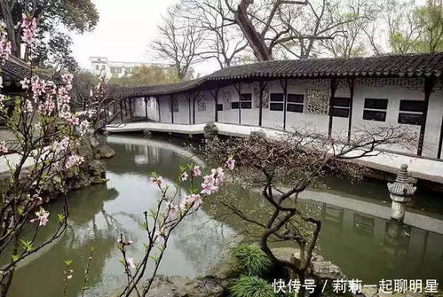 (插入无厘头段落)
