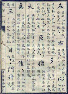 3. 芮芮（ruì ruì）